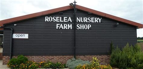 Roselea Nursery