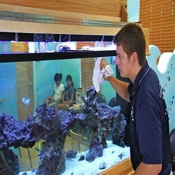 Roshan Fish tank cleaning service