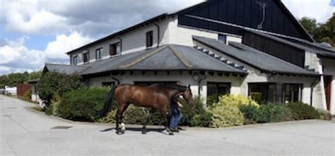 Rossdales Equine Practice (Newmarket)