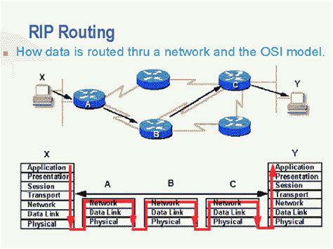 Protocol