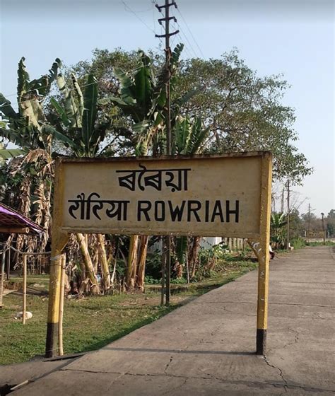 Rowriah mes gate