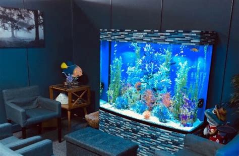 Royal Aquarium Maintenance and Service