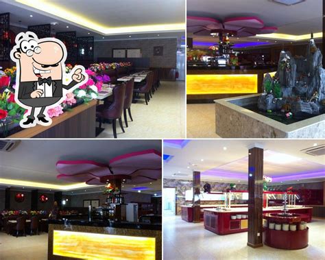 Royal Panda à Angers