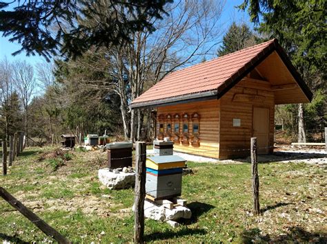 Rucher JM à Breitenbach-Haut-Rhin