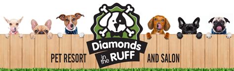 Ruff Diamond Dog Grooming