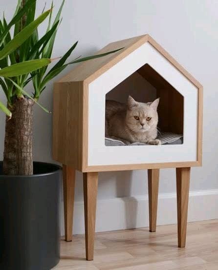 desain rumah kucing