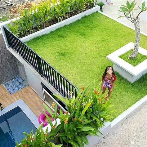 rumah dengan rooftop garden