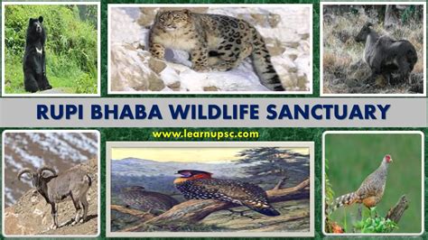 Rupi Bhaba Wildlife Sanctuary