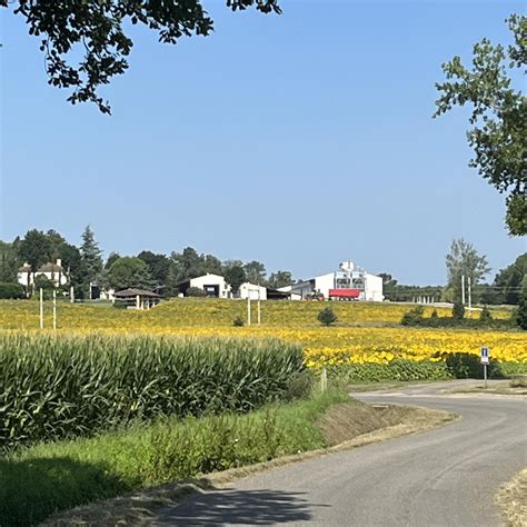 SARL SILOS DE LABELLE à Caussade