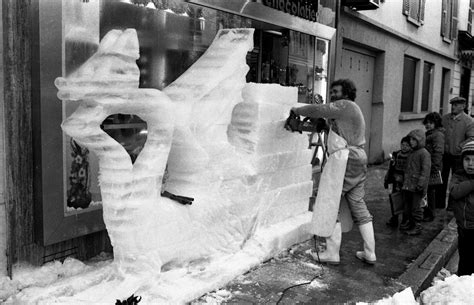 SAS MONSTER FROID à Fons