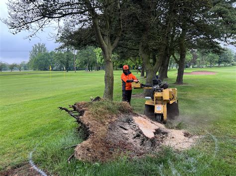 SAS Tree surgeon and Stump Removal (Stanley Amenity services), Cheshire