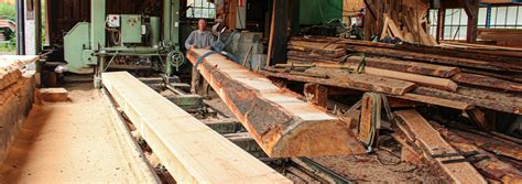 SCIERIE DELAGE à Reignac