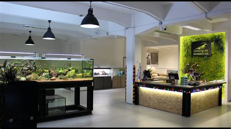 SK aquarium fish