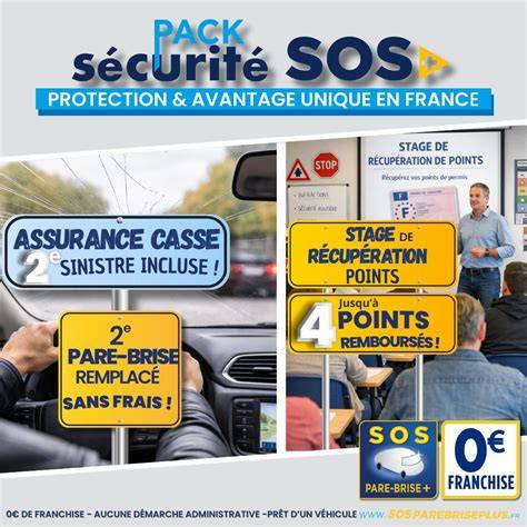 SOS PARE-BRISE+ ST-GEORGES-DE-RENEINS à Saint-Georges-de-Reneins