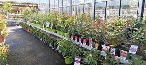 SPRINKABLE à Rantigny