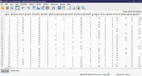 SPSS Data