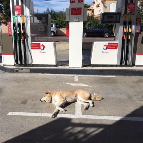 STATION SERVICE TOTAL / CARRY LE ROUET à Carry-le-Rouet