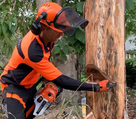 STOKE TREE SURGEON