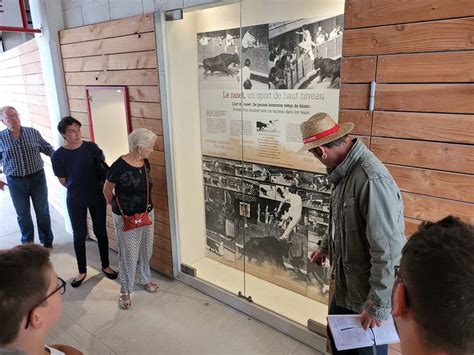 SUNANDTHECITY à Lunel