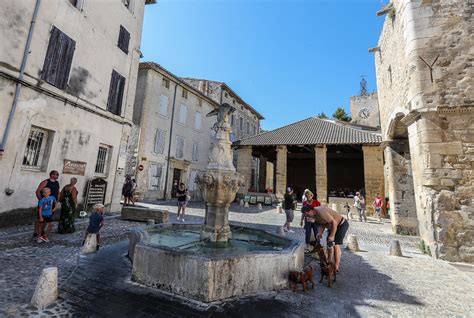 SURIVEIL à Pernes-les-Fontaines