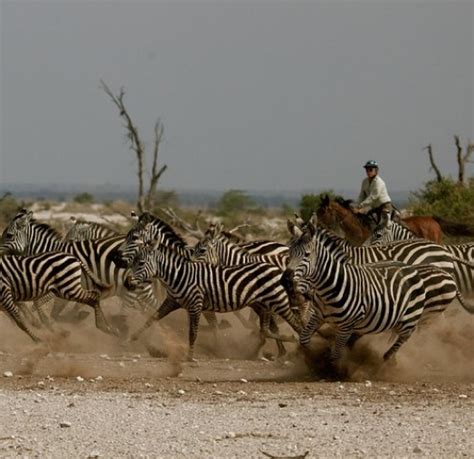 Safari Alcabideche