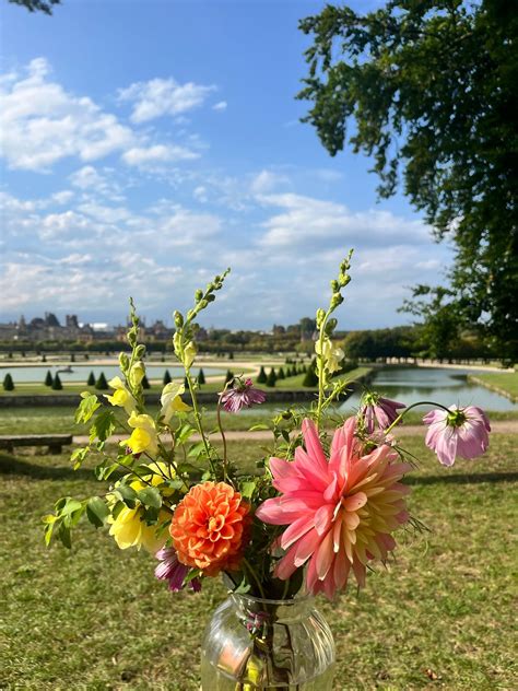 Saisons fleurs à Ury