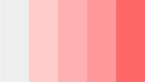 Perbedaan Warna Salem dan Dusty Pink