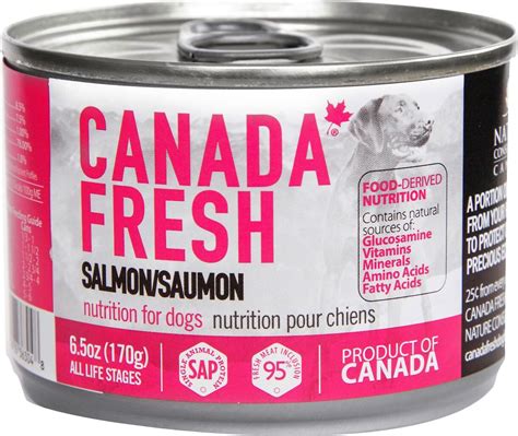 Salmon for Dogs