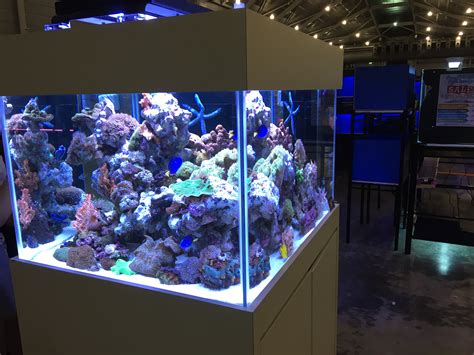 Aquarium Clubs