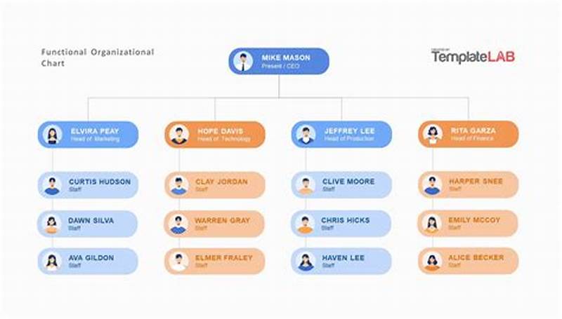 Sample Organization Chart Template With Job Function