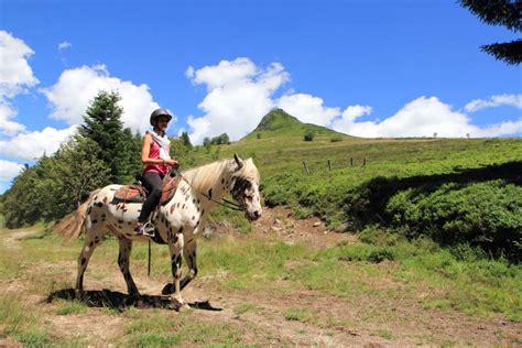 Sancy Cheval à Chastreix