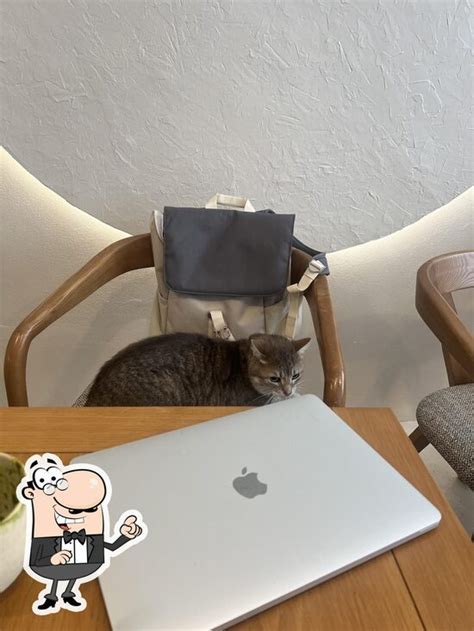 Sands Coffee à Paris