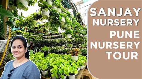 Sanjay Nursery - Best Wholesale Plant Nursery in Pune, India