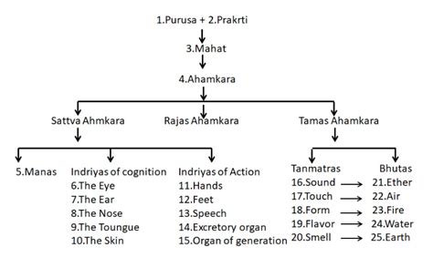 Sankhya Chart