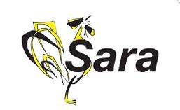 Sara à Craon