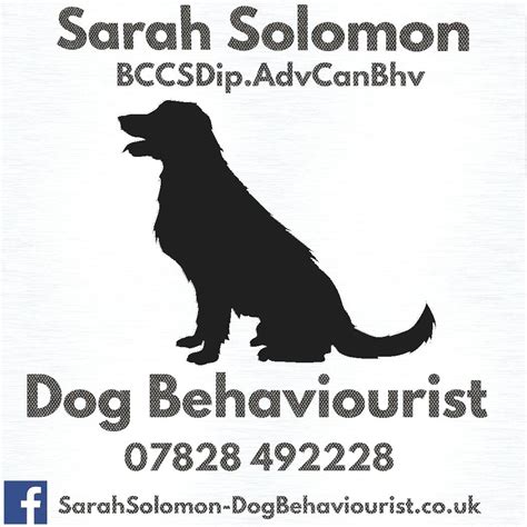 Sarah Solomon. Dog Behaviourist. One To One.