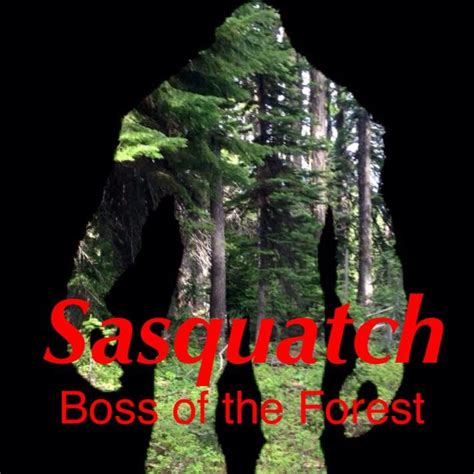 Sasquatch: Boss of the Forest (2017) film online, Sasquatch: Boss of the Forest (2017) eesti film, Sasquatch: Boss of the Forest (2017) full movie, Sasquatch: Boss of the Forest (2017) imdb, Sasquatch: Boss of the Forest (2017) putlocker, Sasquatch: Boss of the Forest (2017) watch movies online,Sasquatch: Boss of the Forest (2017) popcorn time, Sasquatch: Boss of the Forest (2017) youtube download, Sasquatch: Boss of the Forest (2017) torrent download