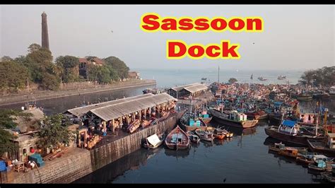 Sassoon Dock Art Project