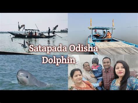 Satapada Dolphin Boat trip