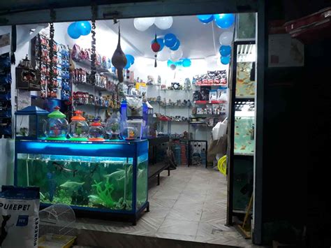 Saurabh fish aquarium