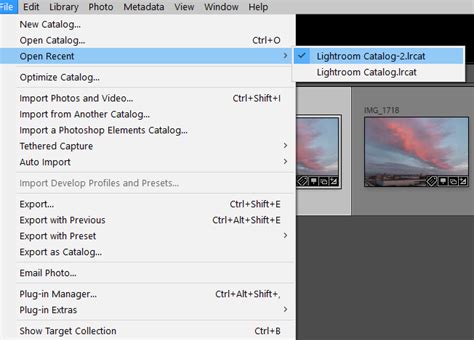 Save Backup Lightroon Catalog As Permanent Catalog