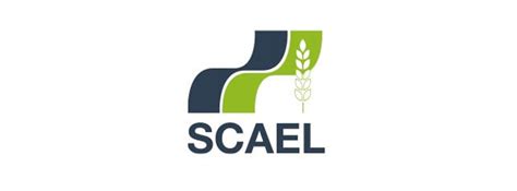 Scael à Digny