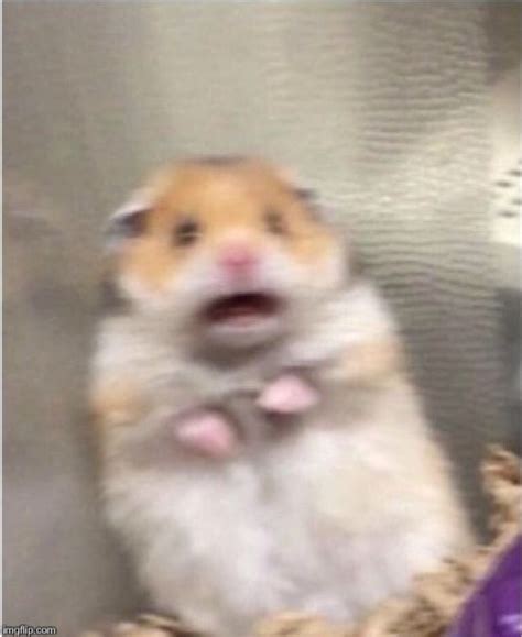 Scared Meme Template