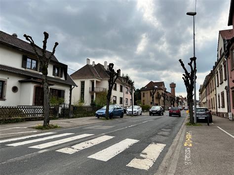 Schmitt Dominique à Sarreguemines
