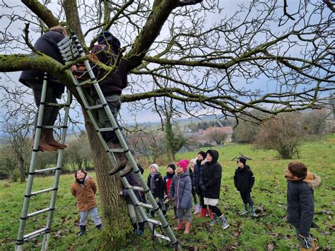 Schont Bertrand à Erstroff