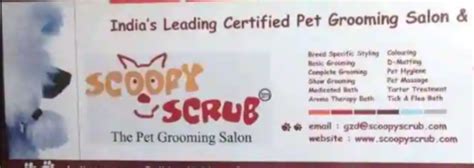 Scoopy Scrub & Pet Bytes - Pet Grooming Salon_Rajahmundry