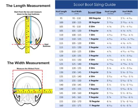 Scoot Boot Sizing Chart