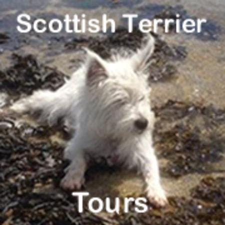 Scottish Terrier Tours