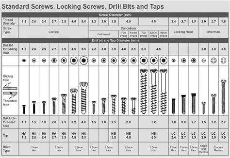 Screws Sizes Chart