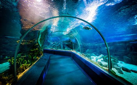Sea World Aquarium & Pets